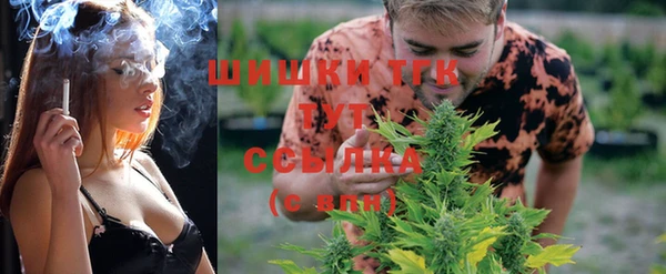 шишки Абинск