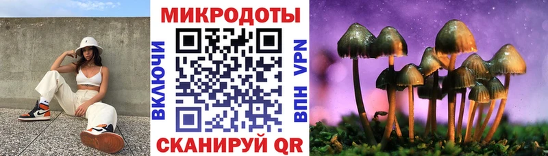 Псилоцибиновые грибы Psilocybine cubensis  магазин продажи   Кисловодск 