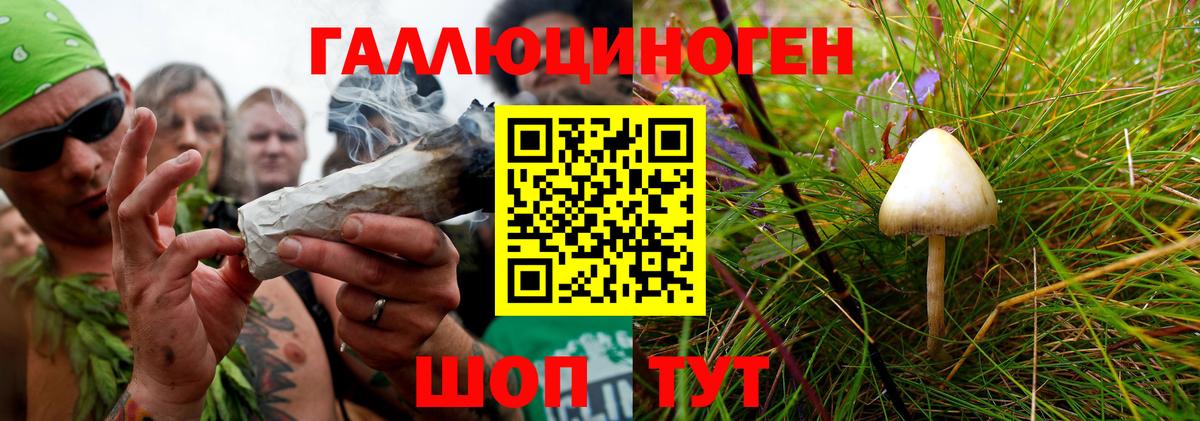 Галлюциногенные грибы прущие грибы  Галлюциногенные грибы Cubensis  Вход с VPN  Кисловодск 