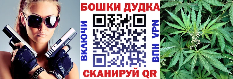 Канабис план  ссылка на мегу ССЫЛКА  Кисловодск  наркошоп 