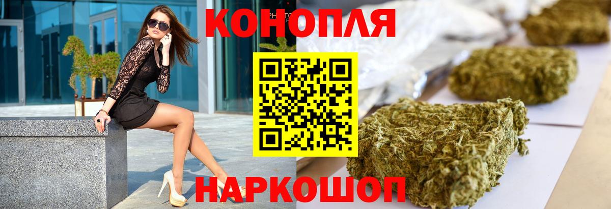 Каннабис гибрид Кисловодск