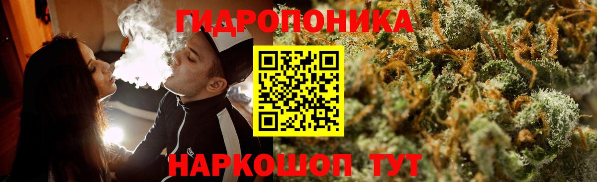 Бошки марихуана планчик  Шишки марихуана тримм  Кисловодск  Вход с VPN  МАРИХУАНА White Widow 